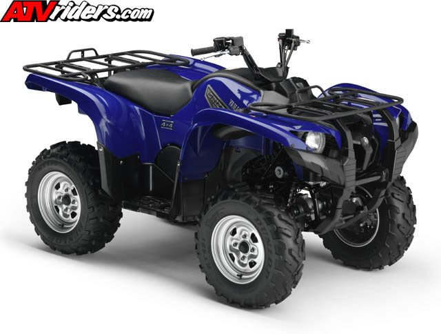 grizzly8138