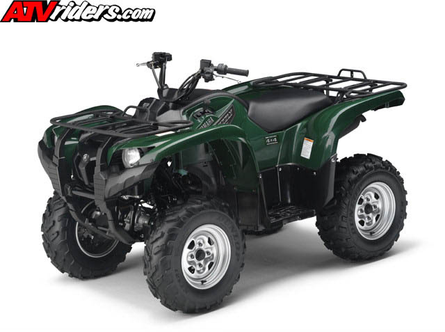 grizzly8141