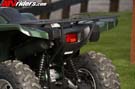 grizzly0033