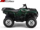 grizzly8134