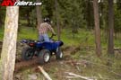 grizzlyaction0675