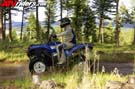 grizzlyaction1333