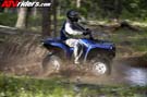 grizzlyaction1519