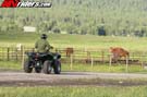 grizzlyaction1619
