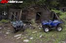 grizzlyaction1956