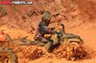 atv-mud-bog-5228