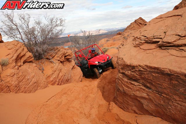 TERYX_6146