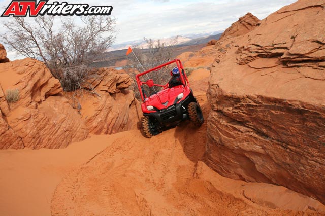 TERYX_6147