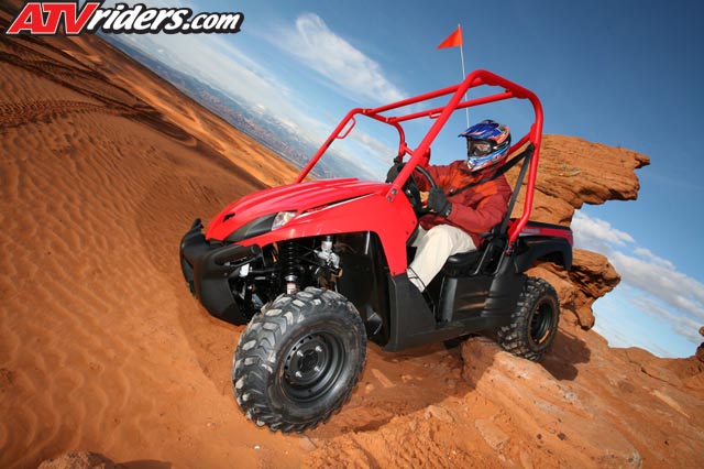 TERYX_6233