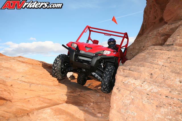 TERYX_6242