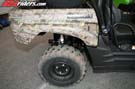 TERYX_6059