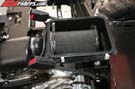 TERYX_6096