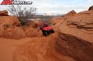 TERYX_6142