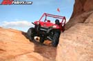 TERYX_6242
