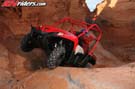 TERYX_6271