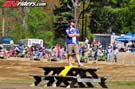 atv-misc-jolly-4086