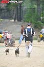 atv-misc-jolly-8946
