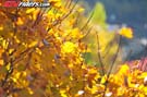 atv-misc-11-6581