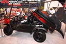 indy-show-9872