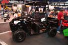 indy-show-9900