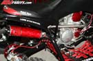 indy-show-0356