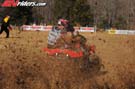 BEA_1167