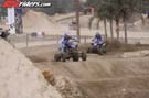 IMG_10000 (14)