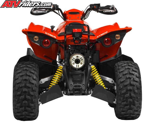 Maxxer375-BACK