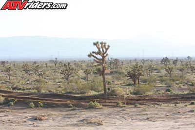 Misc-ATV_8408
