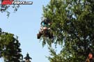 SDC_4264