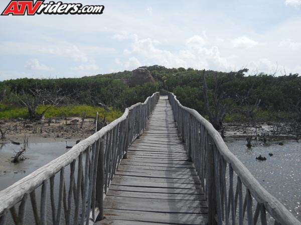 DSCN0921