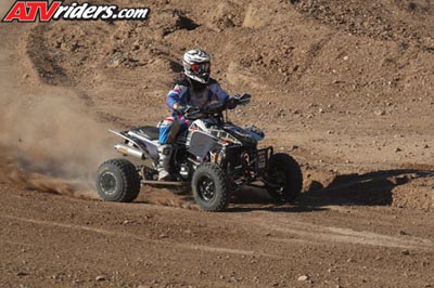 QUAD8161