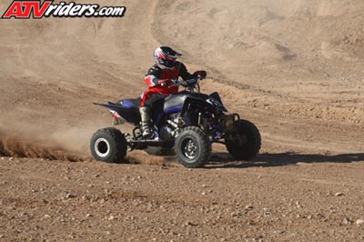 QUAD8173