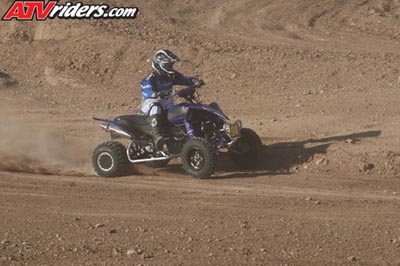 QUAD8174