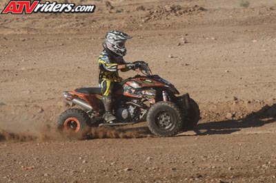 QUAD8181