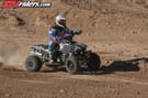 QUAD8162