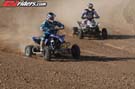 QUAD8164