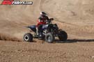 QUAD8173