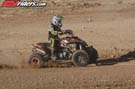 QUAD8181