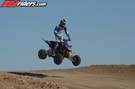 QUAD8184