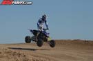 QUAD8185