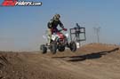 QUAD8194