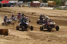 QUAD0241