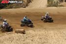 QUAD0247