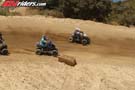 QUAD0249