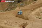 QUAD0263
