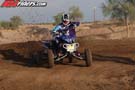 QUAD1133