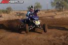 QUAD1134