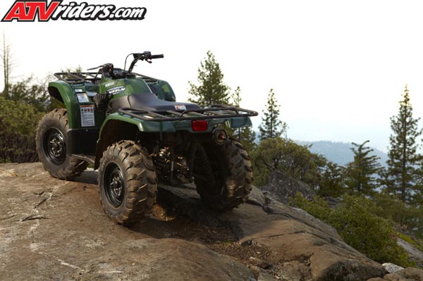 grizzly-450-eps-3-4-green-rocks