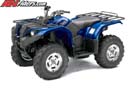 grizzly-450-eps-3-4-blue